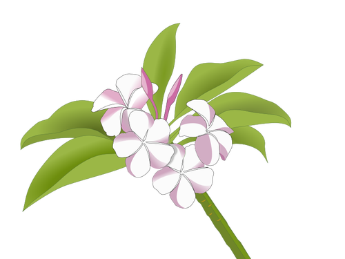 Hawaiian bloemen