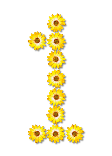 NumÃ©ral floral