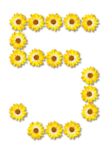 Floral n Âº 5