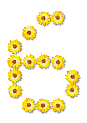 Floral numÃ©ro 6