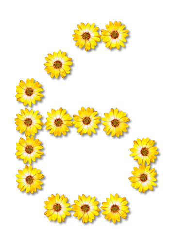 Floral nÃºmero 6