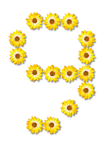 Amarillo flores nÃºmero nueve
