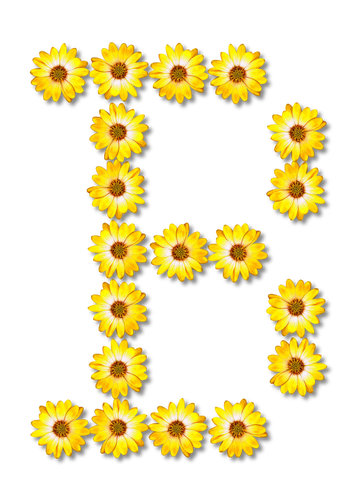 Flowery letter D