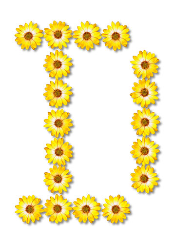 Floral D letter