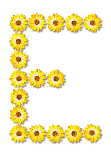 Floral bokstaven E
