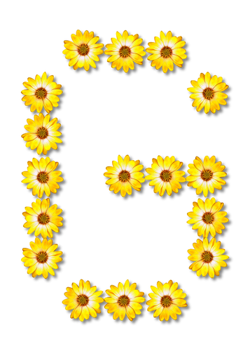 Letra G en flores
