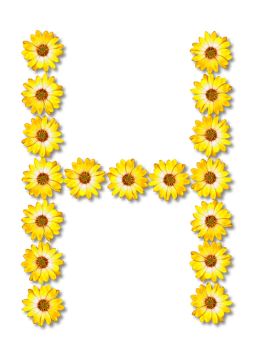 H wykonane z kwiatÃ³w