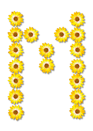 M gemaakt van zonnebloemen