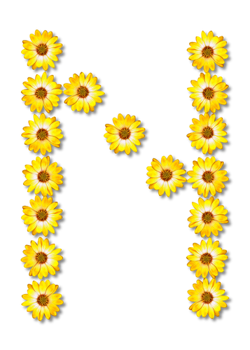 N floral letter