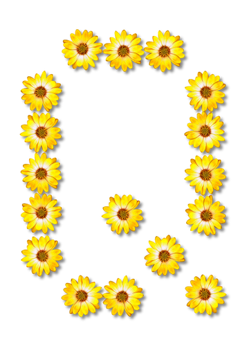 Q gemacht von Sonnenblumen