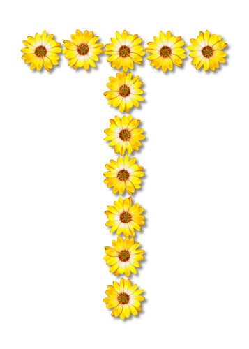 Flowery letter T