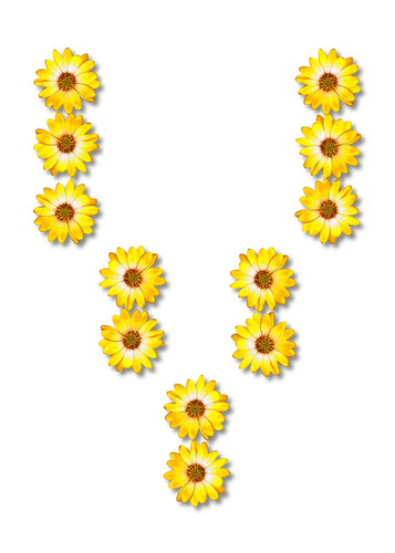Florale litera V