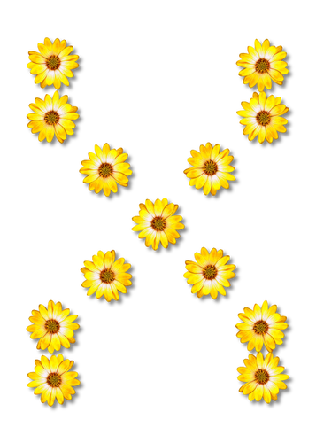 Bloemen vormen X