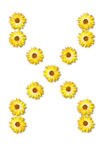 Flores formando X