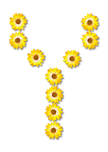 Floral letter Y