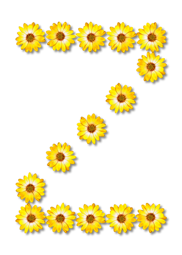 Lettera Z in fiori