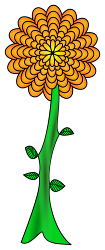 Floare calea