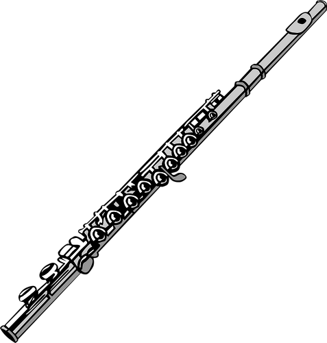 Grafica vettoriale flauto