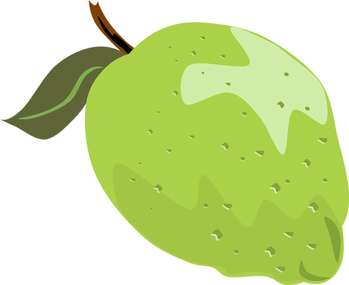 Lime vector illustrasjon med blad