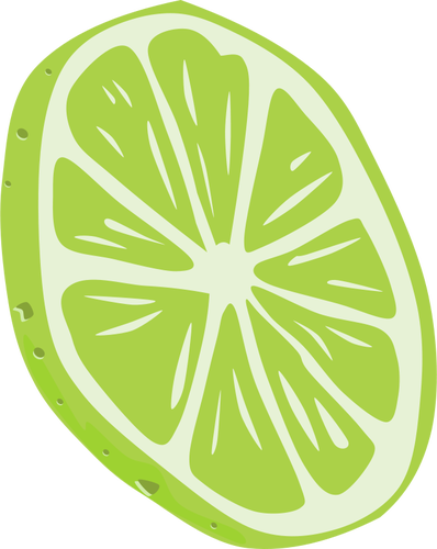 Lime vektortegning