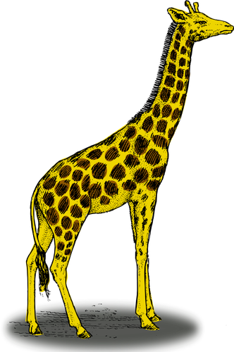 Giraffa colorata vector ClipArt