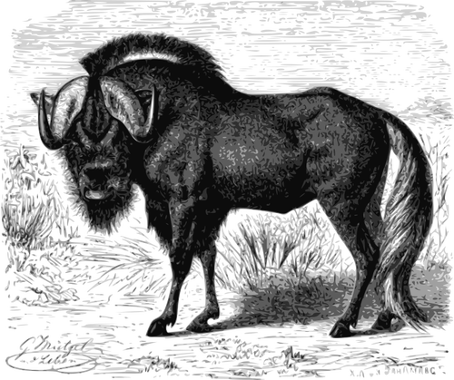Imagen de ilustraciÃ³n GNU