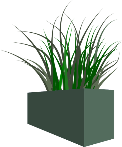 Gras in vierkante planter