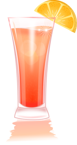 Margarita met oranje segment vector graphics