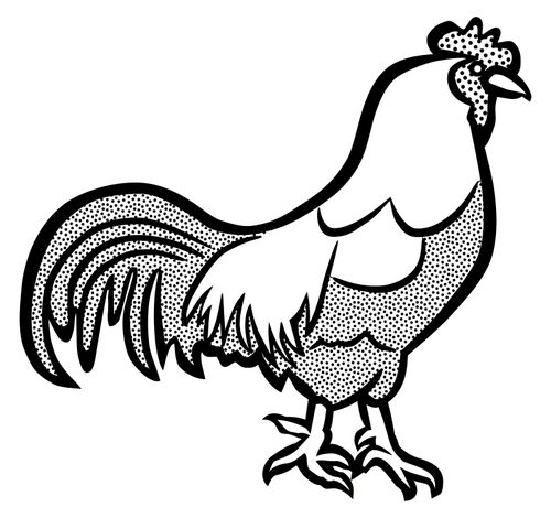 Black and white image of a chicken