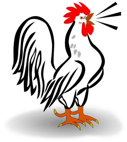 Imagen vectorial de pollo macho
