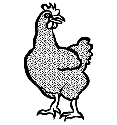 Imagem de livro para colorir de uma galinha