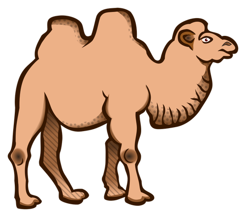 Cartoon-Vektor-Bild eines Kamels