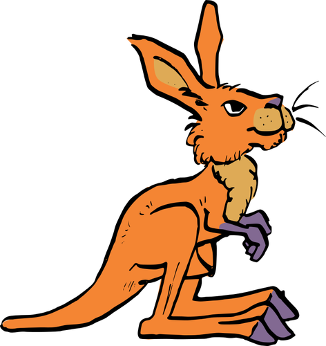 KÃ¼Ã§Ã¼k kanguru