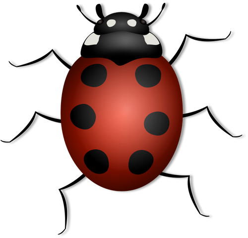 Ladybug vector illustrasjon