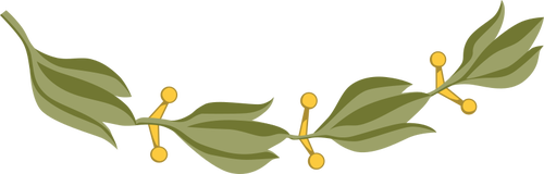 Laurel branch med gule bÃ¦r