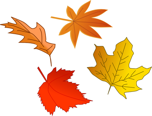 Immagine vettoriale selezione di foglie d