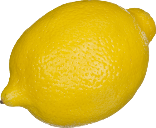 Zitrone-Vektor-illustration