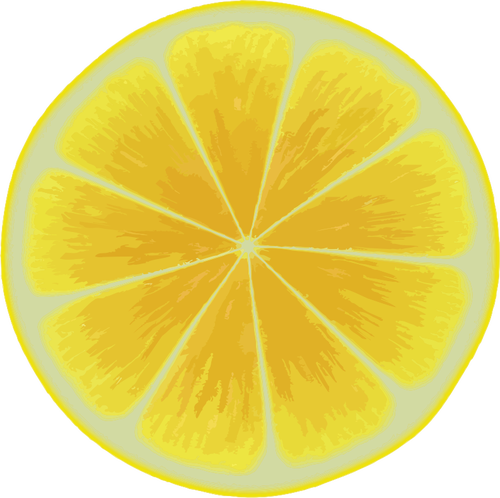 Gele citrus segment