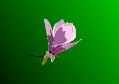 Magnolia gambar vektor