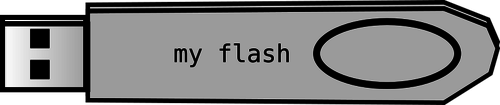Immagine vettoriale di disco flash