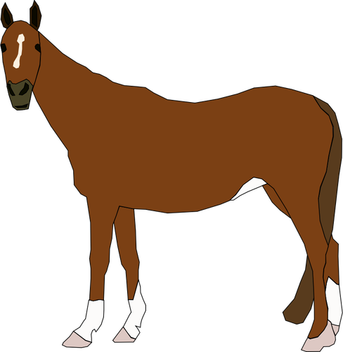 Vectorillustratie van bruin paard staande