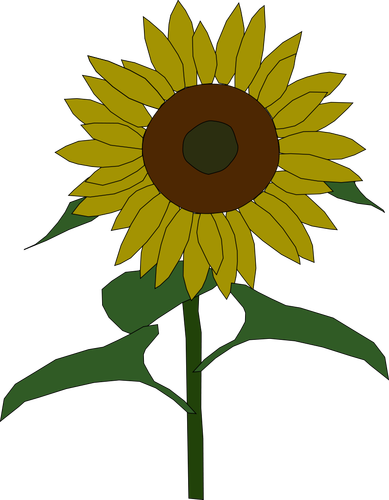 GraficÄƒ vectorialÄƒ floarea soarelui