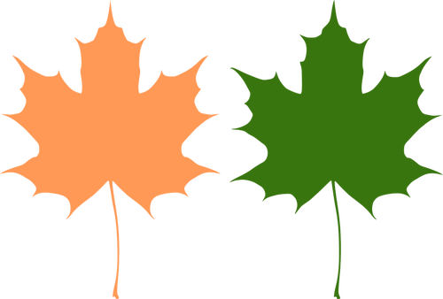 Oranje en groen esdoorn bladeren vector tekening