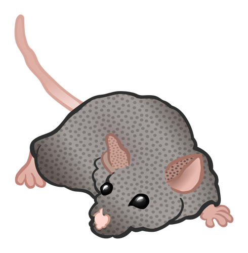 Farejador de rato