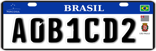 Brasilianska registrering plÃ¤terar vektorgrafik