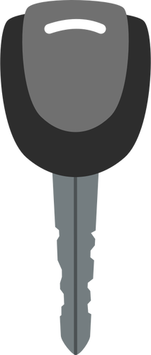 Black and grey vector image of car door key