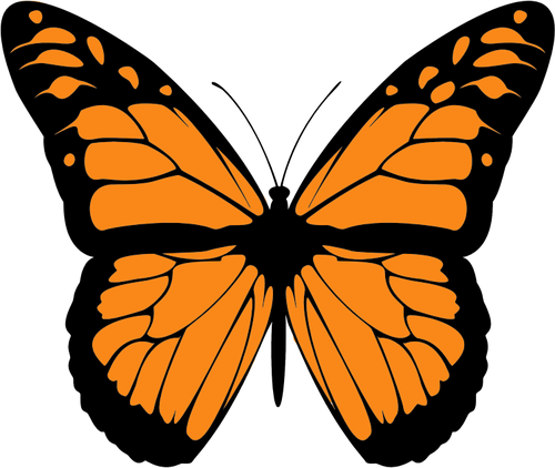 Vektorbild orange fjÃ¤ril med wide sprida vingar