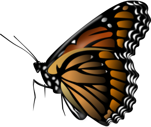 Fluture monarh vector miniaturi