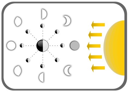 Ay evreleri diyagramÄ±