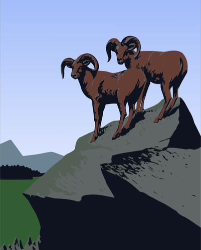 Obraz horskÃ© kozy
